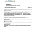 document thumbnail of the DCFA Treasurer Reports – Q1 2020